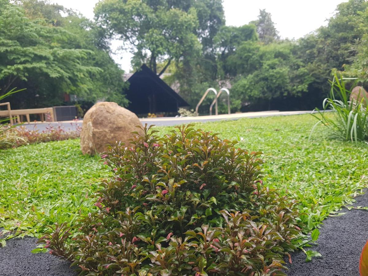 Nice Place Resort Dambulla Exterior foto