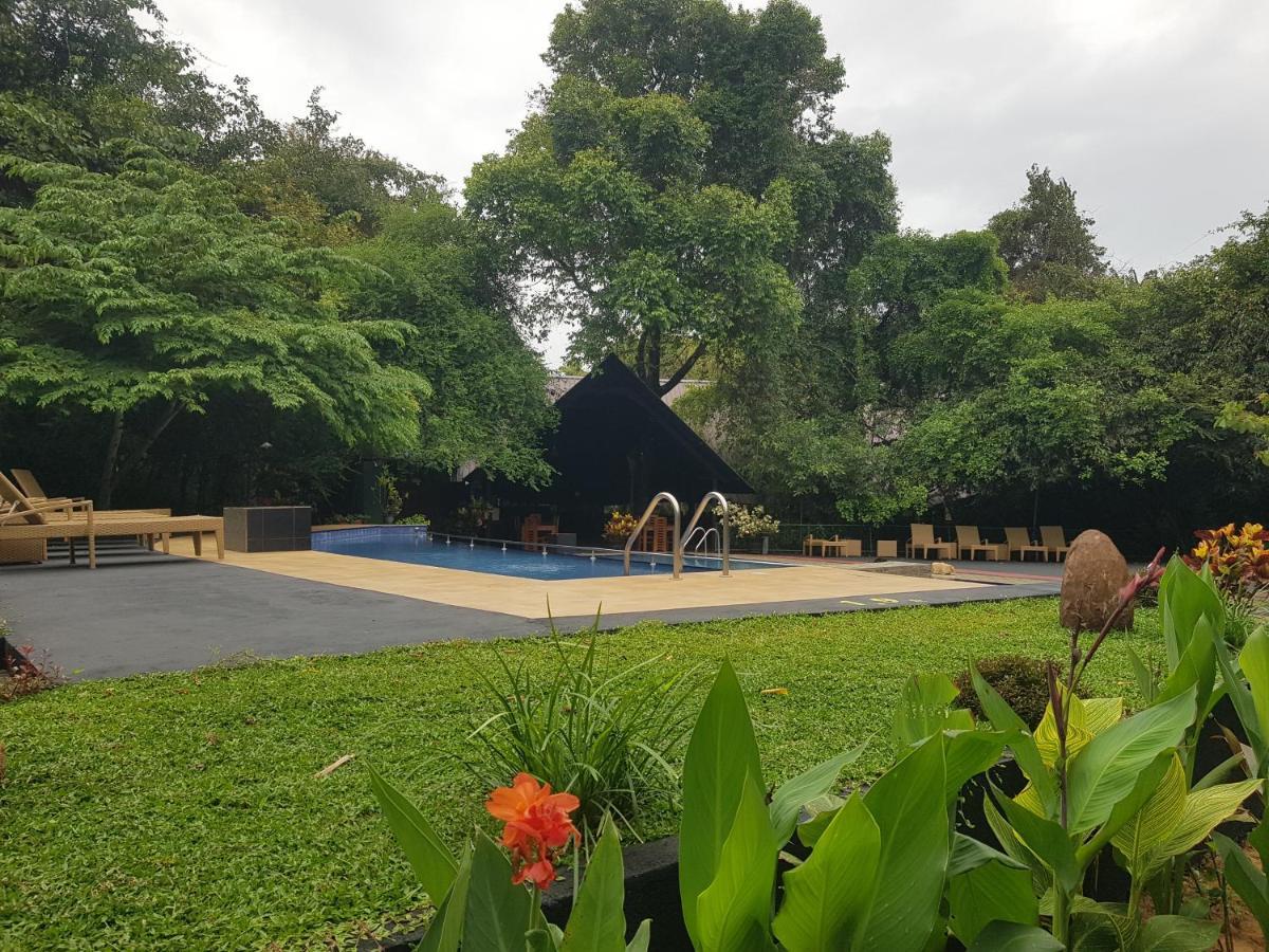 Nice Place Resort Dambulla Exterior foto